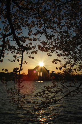Jefferson Memorial Sunrise, Washington DC